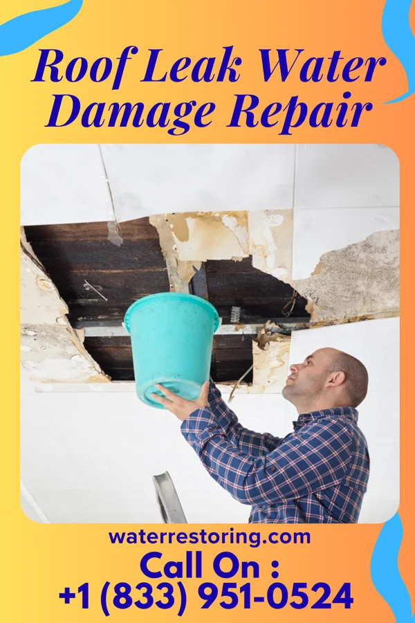 Roof Leak Water Damage Repair in Tallahassee, FL